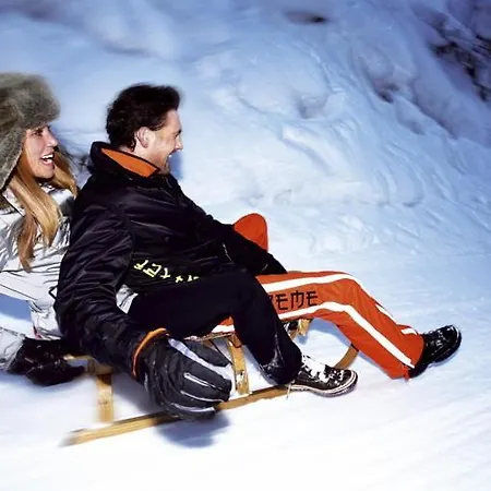 アパート Zillertal-Urlaubat0005 *