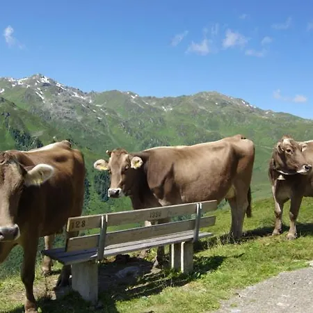 アパート Zillertal-Urlaubat0005